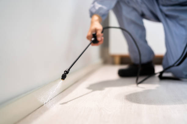 Licensed Termite Control service in Bude, MS - Nex Pest Control