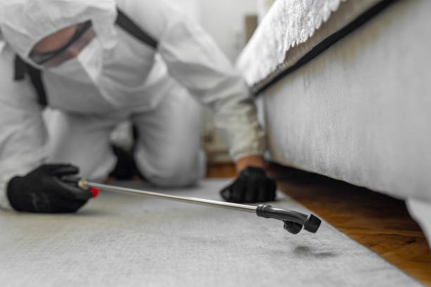 Professional Termite Control technician working in Bude, MS