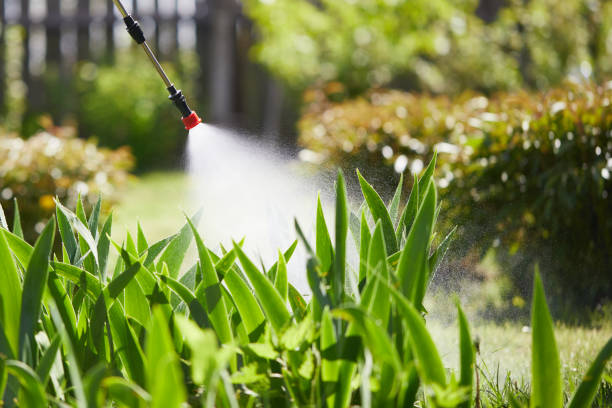24/7 Emergency Termite Control experts in Bude, MS