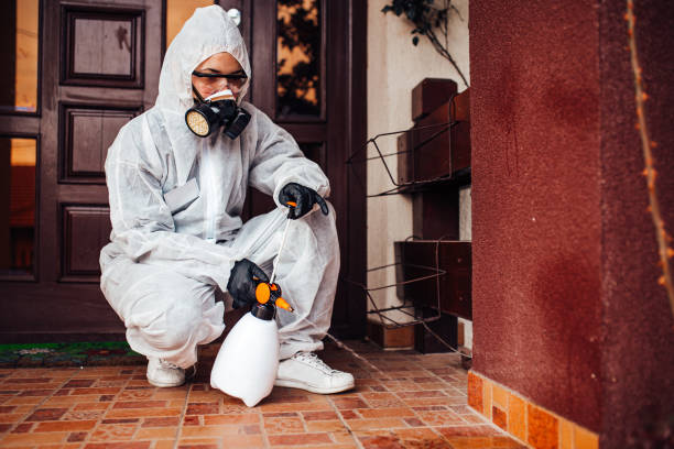Reliable Termite Control contractor in Bude, MS by Nex Pest Control