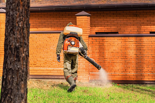 Top rated local Termite Control specialists in Bude, MS